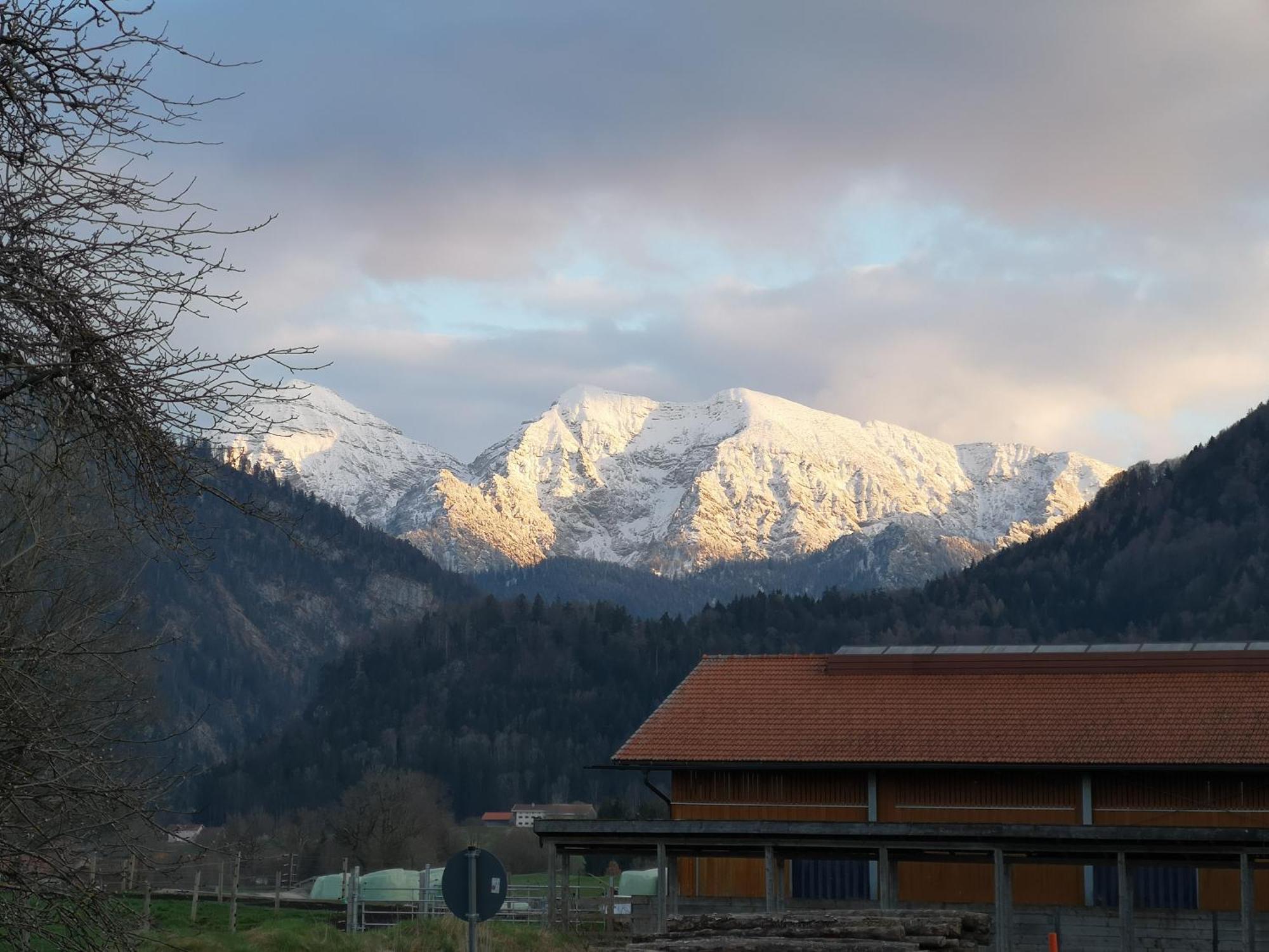 Ferienwohnung Am Wasen Inkl. Chiemgaukarte Ruhpolding Dış mekan fotoğraf